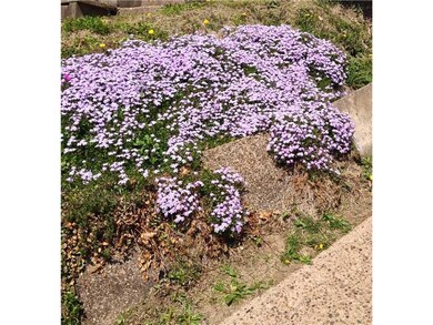 Yard/Garden.