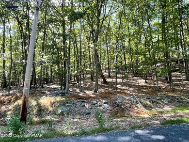 0 Lot 152 Chipmunk Rd unit PM-100595, Bushkill, PA 18324 - photo 7