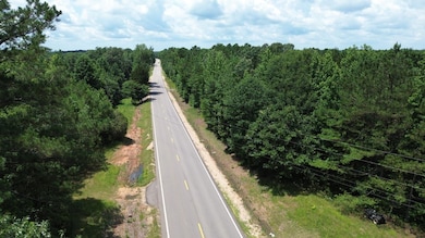 Highway 25, Fulton, MS 38843 - photo 3