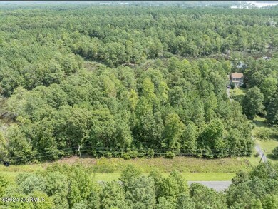 0 Pinecrest Rd unit 100461767, Bath, NC 27808 - photo 6