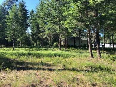 LOT 1 Hogans Way, Chewelah, WA 99109 - photo 2