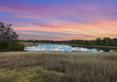 250 Farm To Market 3128, Coldspring, TX 77331 - photo 4