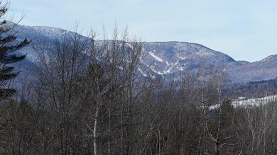 899 Common Rd, Waitsfield, VT 05673 - photo 4
