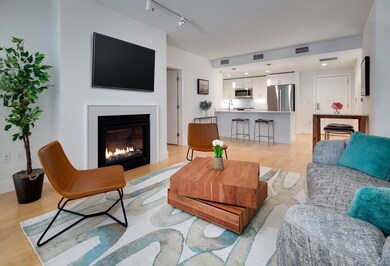 7 Beech St unit 212, Cambridge, MA 02140 - photo 2