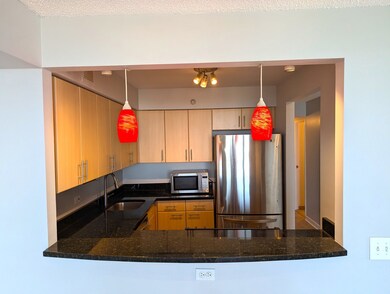 3660 N Lake Shore Dr unit 2908, Chicago, IL 60613 - photo 7