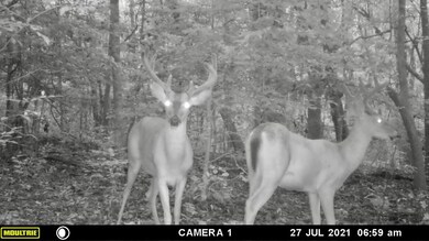 0 Sandspur Loop, Baconton, GA 31716 - photo 6