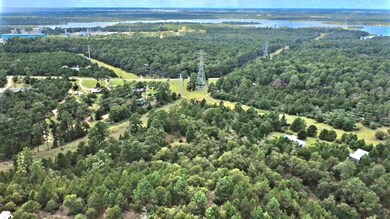 Bird's eye view of a forest