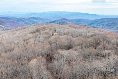 110 Burnt Mountain Cove Rd, Jasper, GA 30143 - photo 4