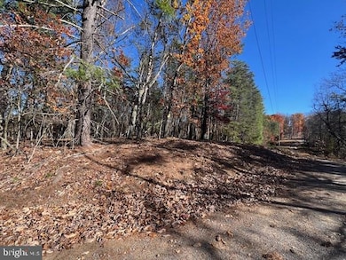 0 Runaway Ct unit WVMO2006972, Berkeley Springs, WV 25411 - photo 3