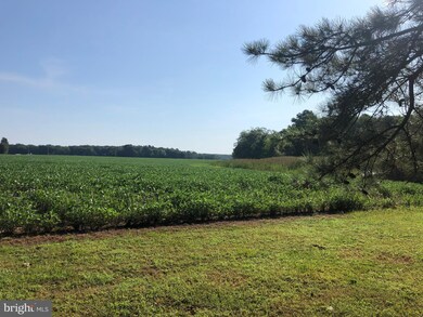 4884 Skinners Neck Rd, Rock Hall, MD 21661 - photo 6