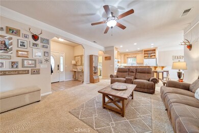 871 Applewood Way, Willows, CA 95988 - photo 6