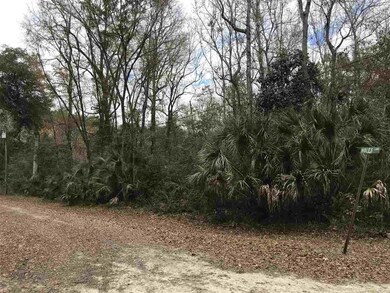 Lots 9&17 Owl Ln, Crawfordville, FL 32327 - photo 2