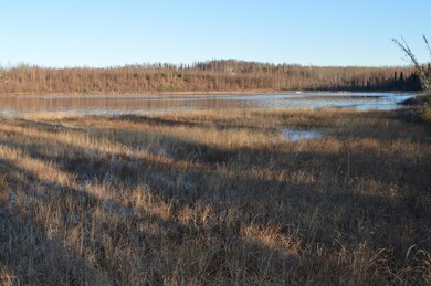 4082 Pond Lily Ln, Wasilla, AK 99654 - photo 2