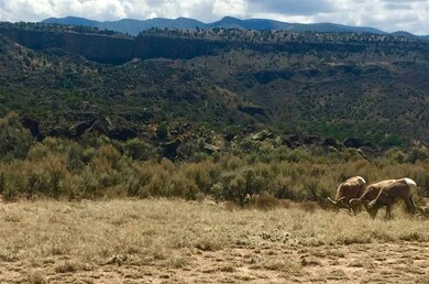 1 B Calle Fileberto, Taos, NM 87529 - photo 5