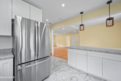 100 Boylston Street Extension, Pittsfield, MA 01201 - photo 5