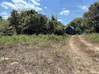 000 County Road 1902, Jacksonville, TX 75766 - photo 3