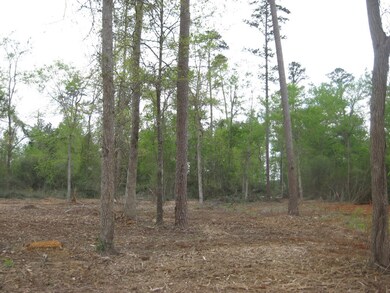 5.49 ac Farm To Market 225, Nacogdoches, TX 75964 - photo 3