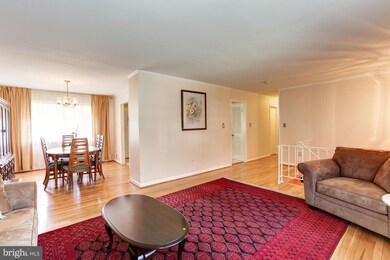 14203 Greenspan Ln, Rockville, MD 20853 - photo 5
