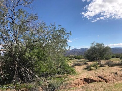 Mature Vegetation