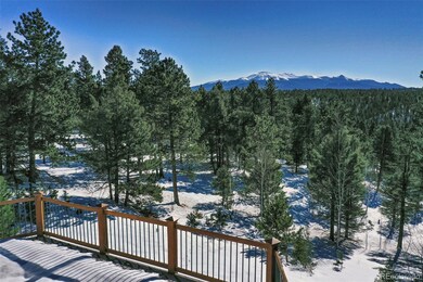 4155 Cedar Mountain Rd, Divide, CO 80814 - photo 6