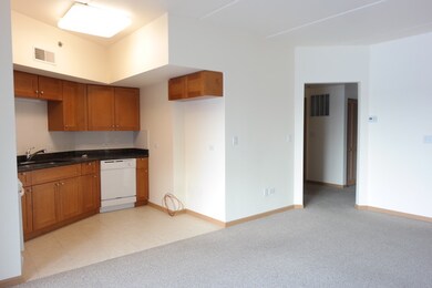 2322 S Canal St unit 709, Chicago, IL 60616 - photo 3