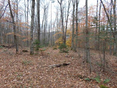 000 Old County Rd, Waterford, VT 05848 - photo 7