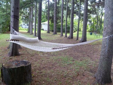 hamock view