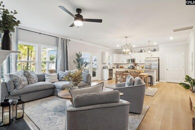 3079 Hallsdale Dr, Elgin, SC 29045 - photo 4