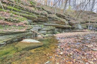 7427 S Harpeth Rd, Franklin, TN 37064 - photo 4