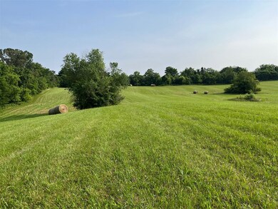 10213 Glasgow Rd, Smiths Grove, KY 42171 - photo 4