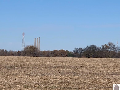 000 Crawford Lake Rd, Kevil, KY 42053 - photo 5