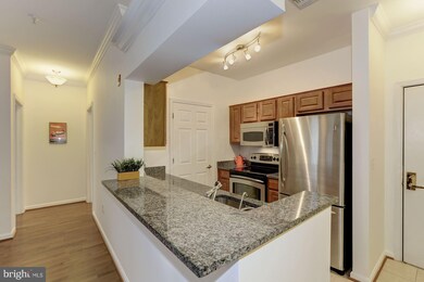 4550 Strutfield Ln unit 2116, Alexandria, VA 22311 - photo 4
