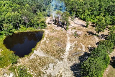 14-DJI_20240620105625_0363_D