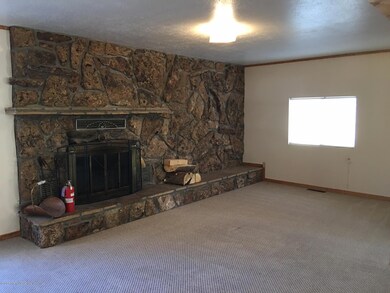 Stone wood burning FP