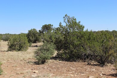 Sec 9, Heber, AZ 85928 - photo 2