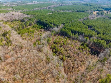 786 Horton Rd, Goldston, NC 27252 - photo 3