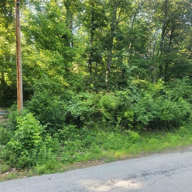 L-25 B-7 Navajo Trace, Cherokee Village, AR 72529 - photo 6