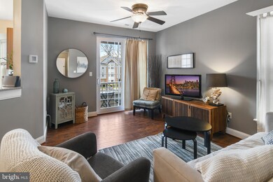 502 Mathias Hammond Way unit 210, Annapolis, MD 21401 - photo 6