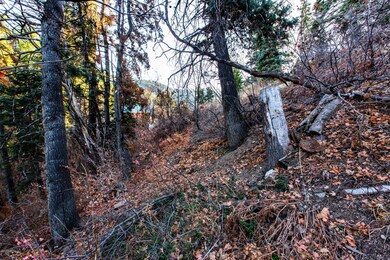 165 Paradise Road Park City UT-005-011-P