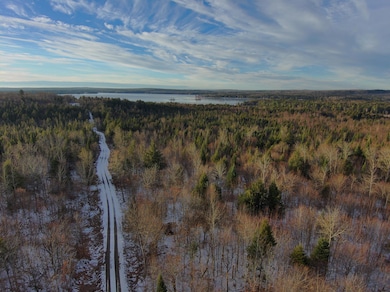 60 Pratt Cove Rd, Island Falls, ME 04747 - photo 3