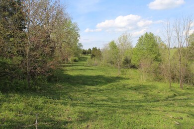 175 Ray Webb Ln, Harrodsburg, KY 40330 - photo 2