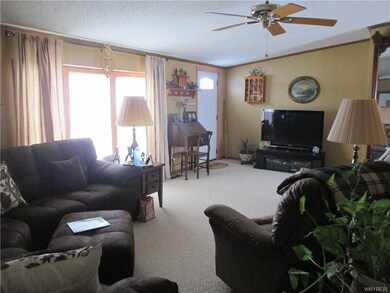 22 foot living room. New windows and door.