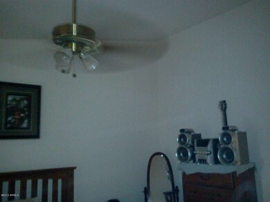 Master vaulted ceilings