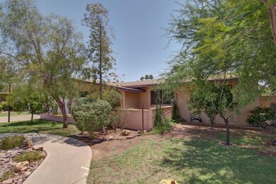 0003-Javelina (3)