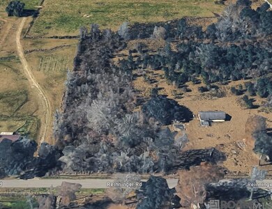 TBD Tract AP-4 Reinninger Rd, Denham Springs, LA 70706 - photo 4