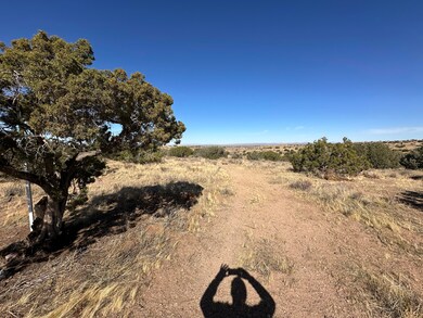 0 Vic Ranchero Rd Blackber unit 25001553, Palmdale, CA 93550 - photo 6