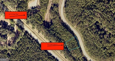 LOT 13 Grays Reef Ct, Waverly, GA 31565 - photo 4
