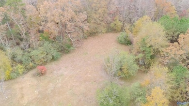 183 Southvale Ave, Hamilton, AL 35570 - photo 4