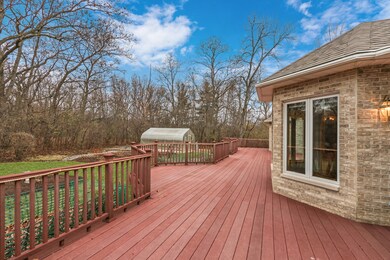 Yard/Garden