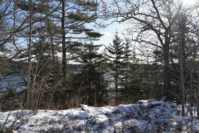 DSC_0956 - Copy
